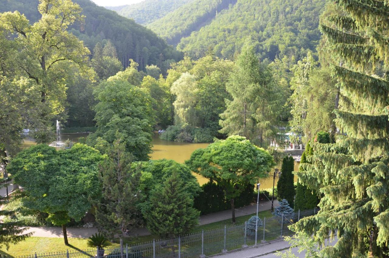 Floravilla Rajecke Teplice Bagian luar foto
